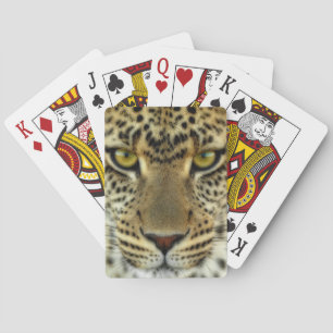Fierce Leopard Spielkarten