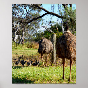 Fiers Parents Emu, Poster