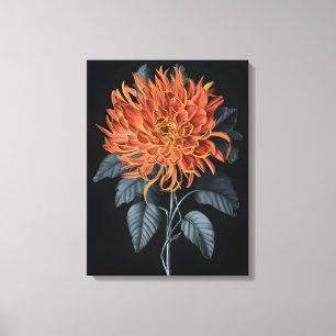 Fiery Elegance: Orange Chrysanthemum Leinwanddruck