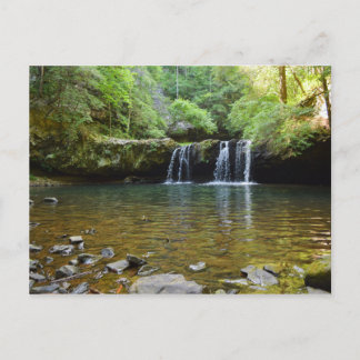 Fiery Gizzard Wandern neben dem Wasser Postkarte