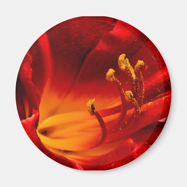 Fiery Lily Magnet (Vorne)