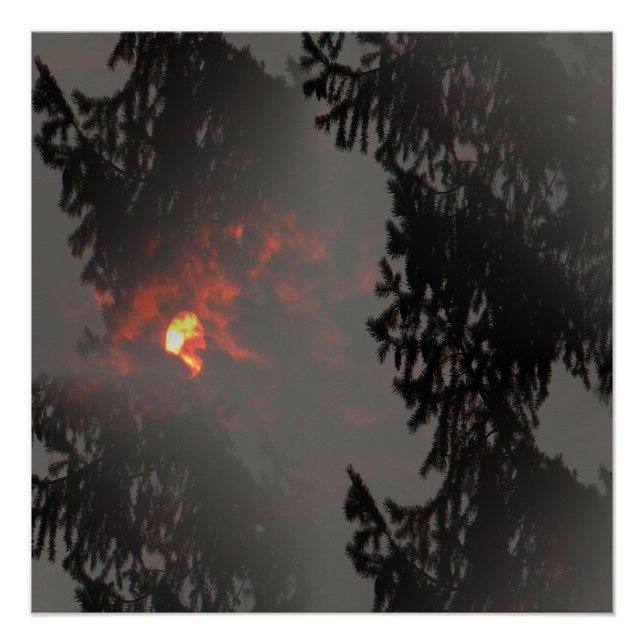 Fiery Sun ... Poster (Vorderseite)