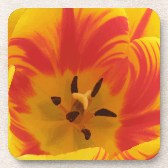 Fiery Tulip Cork Untersetzer (Vorderseite)