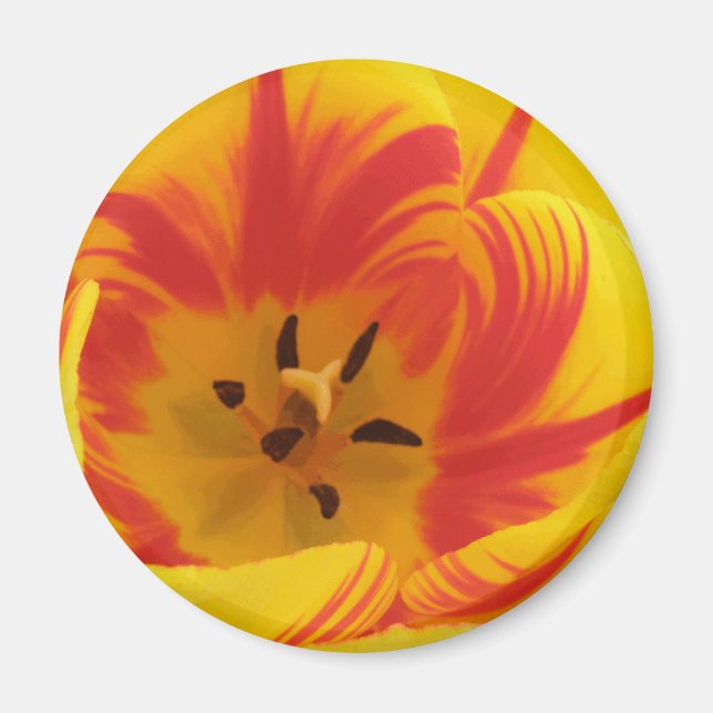 Fiery Tulip Magnet (Vorne)