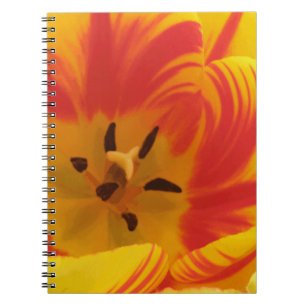Fiery Tulip Notebook Notizblock
