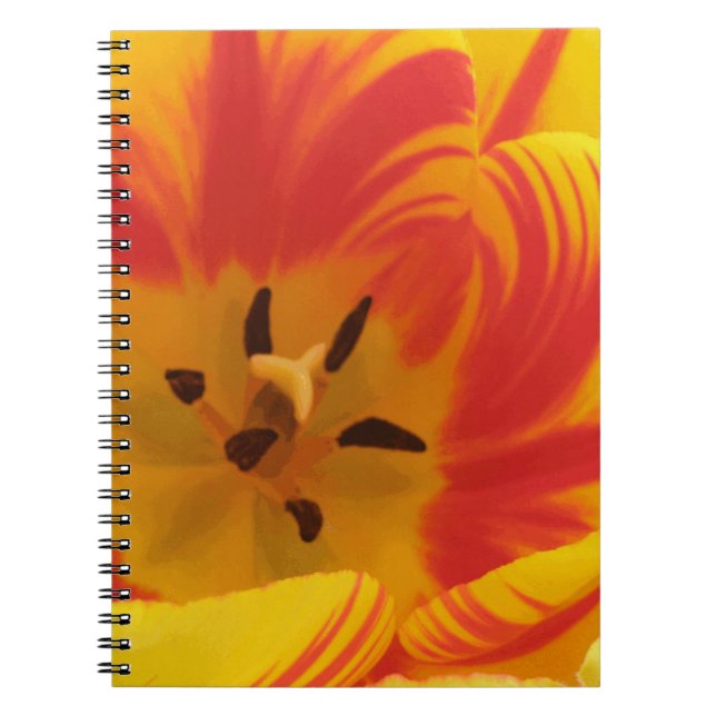 Fiery Tulip Notebook Notizblock (Vorderseite)