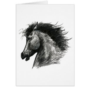 Fiery Wild Horse