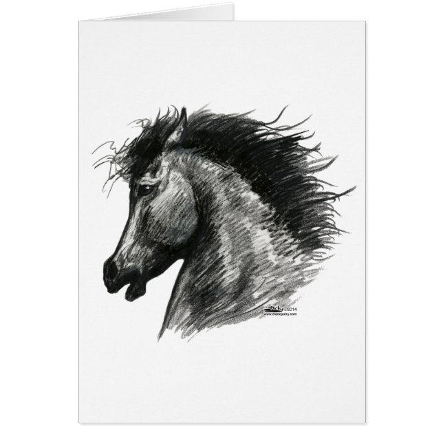 Fiery Wild Horse (Vorne)