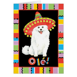 Fiesta American Eskimo Dog