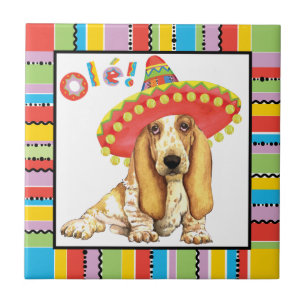 Fiesta Basset Fliese