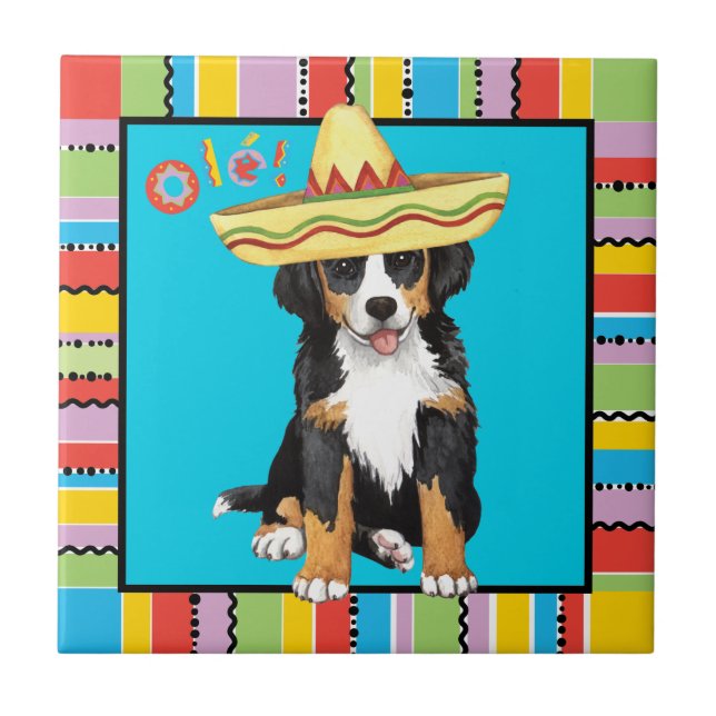 Fiesta Berner Fliese (Vorderseite)