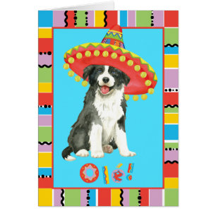 Fiesta-Border-Collie-Gruß-Karte