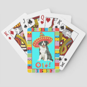 Fiesta Border Collie Spielkarten