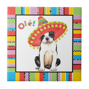 Fiesta Boston Terrier Fliese