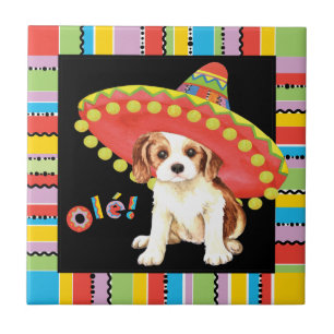 Fiesta Cavalier Fliese