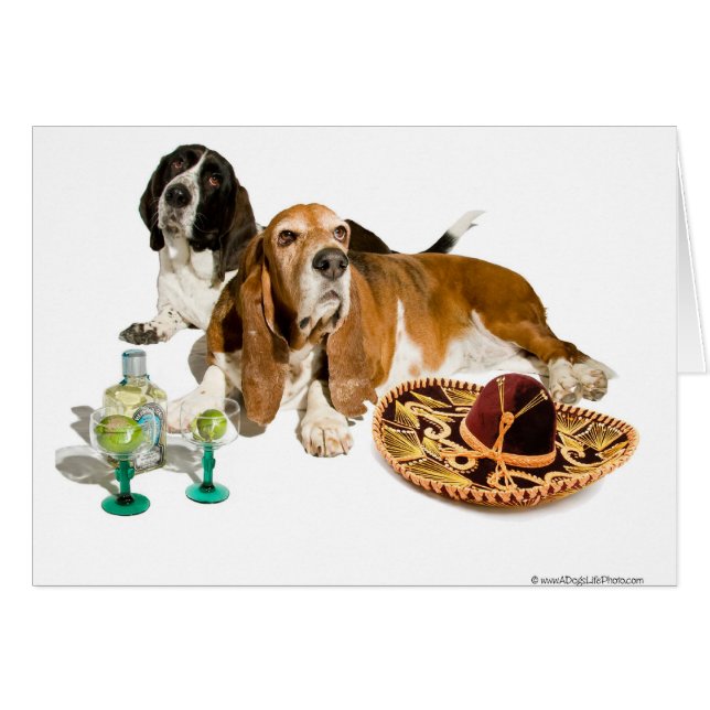 Fiesta-Dachshund-Karte (Vorderseite (Horizontal))