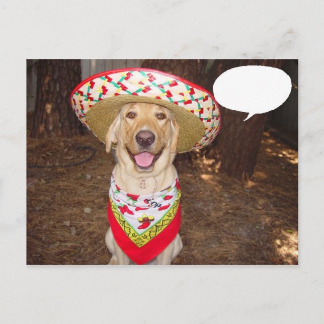 Fiesta Moses Postkarte (Vorderseite)