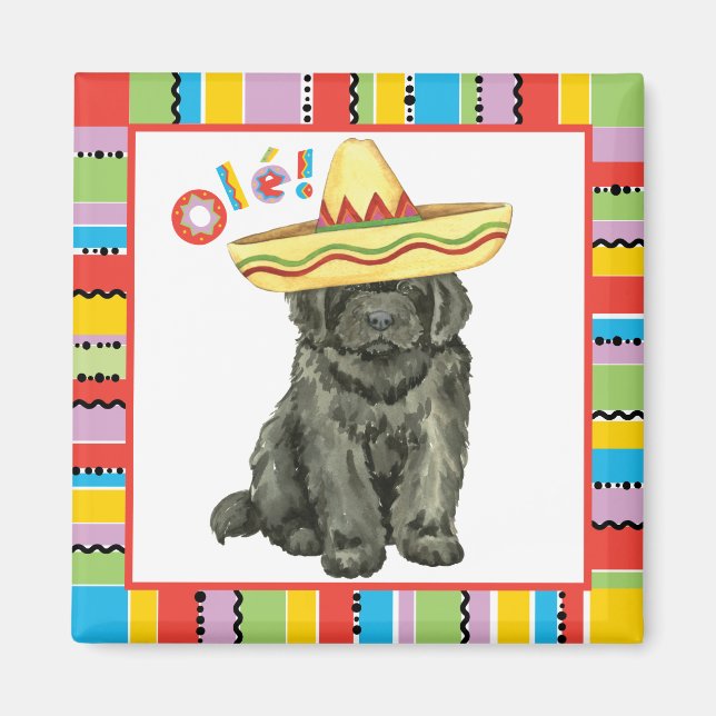 Fiesta Newfoundland Magnet (Devant)