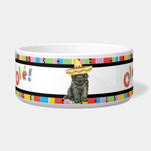 Fiesta Newfundland Pet Bowl Napf (Links)