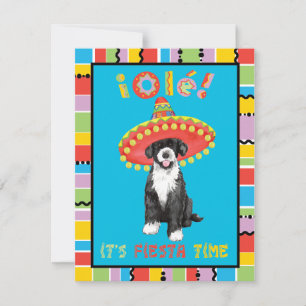 Fiesta PWD Einladung