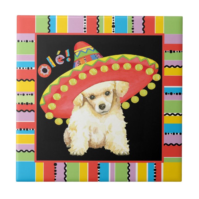 Fiesta Toy Poodle Fliese (Vorderseite)