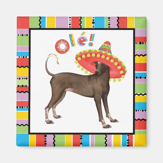 Fiesta Xolo Magnet (Vorne)