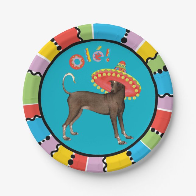 Fiesta Xolo Pappteller (Vorderseite)
