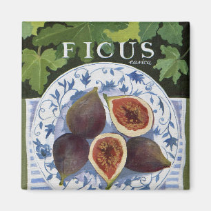 Fieus Magnet