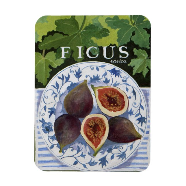 Fieus Magnet (Vertikal)