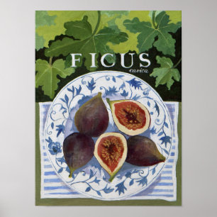 Fieus Poster