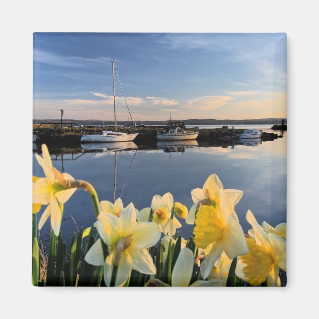 Fife, landschaftliches Foto aus Schottland Magnet (Vorne)