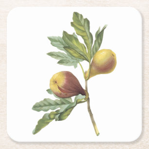 fig(Ficus violacea) von Redouté Rechteckiger Pappuntersetzer