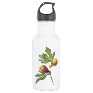 fig(Ficus violacea) von Redouté Trinkflasche