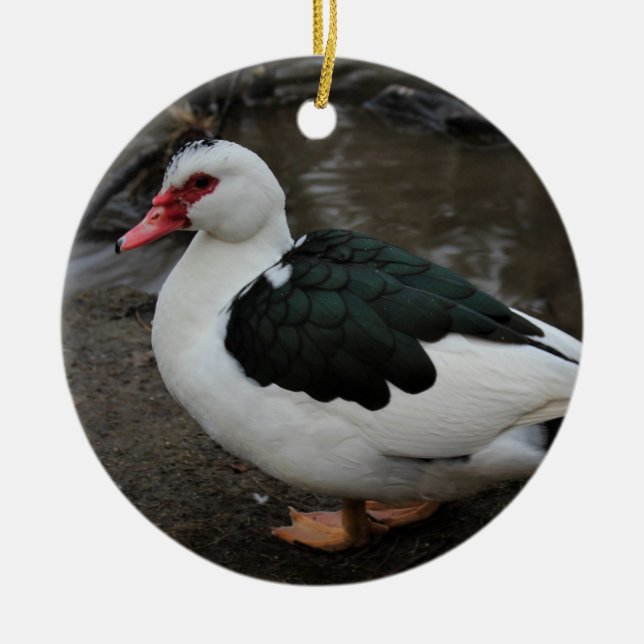 Figgy Keramik Ornament (Vorne)