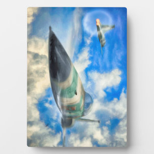 FIGHTER JET GOOPERSONIC F-5N Tiger II Fotoplatte