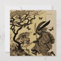 Fighting Butterflies