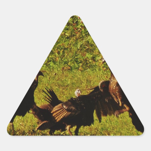 Fighting Wild Turkeys in the Smoky Mountains Dreieckiger Aufkleber (Vorderseite)