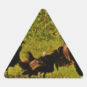 Fighting Wild Turkeys in the Smoky Mountains Dreieckiger Aufkleber