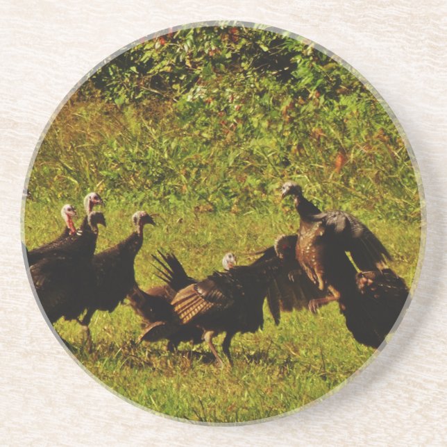 Fighting Wild Turkeys in the Smoky Mountains Getränkeuntersetzer (Vorne)