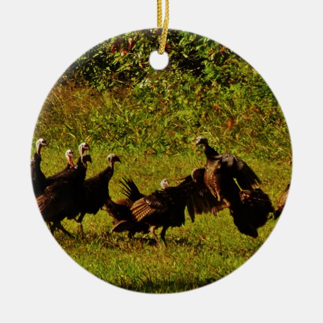 Fighting Wild Turkeys in the Smoky Mountains Keramik Ornament (Vorne)