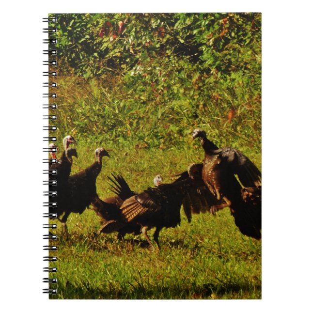Fighting Wild Turkeys in the Smoky Mountains Notizblock (Vorderseite)