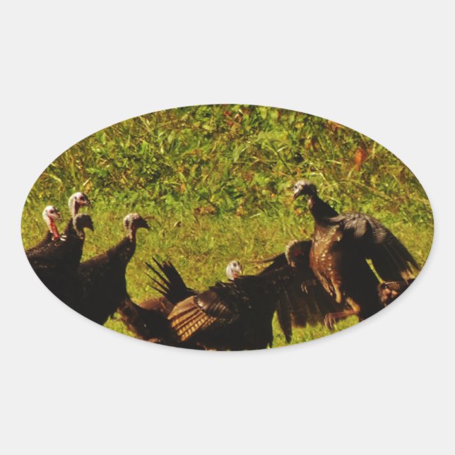 Fighting Wild Turkeys in the Smoky Mountains Ovaler Aufkleber (Vorderseite)