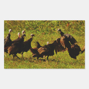 Fighting Wild Turkeys in the Smoky Mountains Rechteckiger Aufkleber