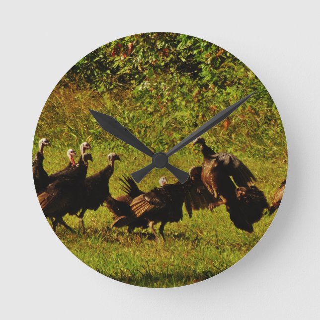 Fighting Wild Turkeys in the Smoky Mountains Runde Wanduhr (Vorderseite)