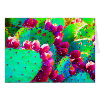 Figues de Barbarie sauvages