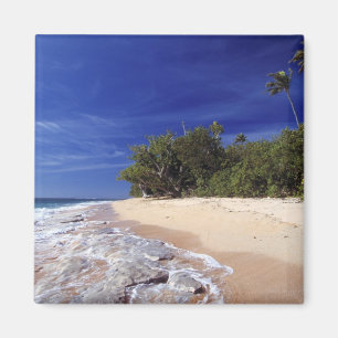 Fiji-Inseln, Tavarua. Dieser Strand auf Tavarua, Magnet