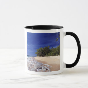 Fiji-Inseln, Tavarua. Dieser Strand auf Tavarua, Tasse