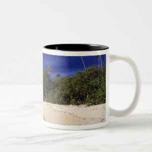 Fiji-Inseln, Tavarua. Dieser Strand auf Tavarua, Zweifarbige Tasse