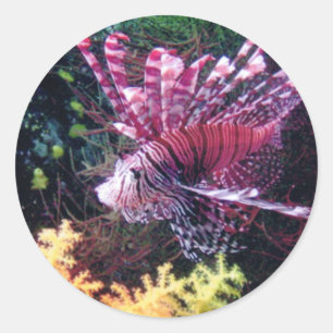 Fiji Lion Runder Aufkleber