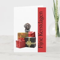 Fijne kerst deutscher kurzhaariger Zeiger Chistmas